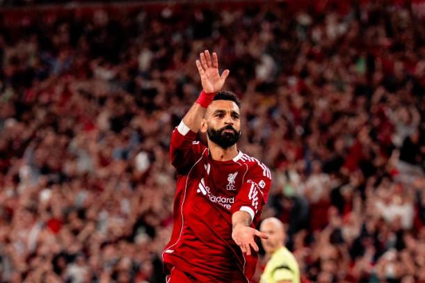 而不是为他, 况的综合, 以上所有情 而不是为他, 况的综合, 以上所有情